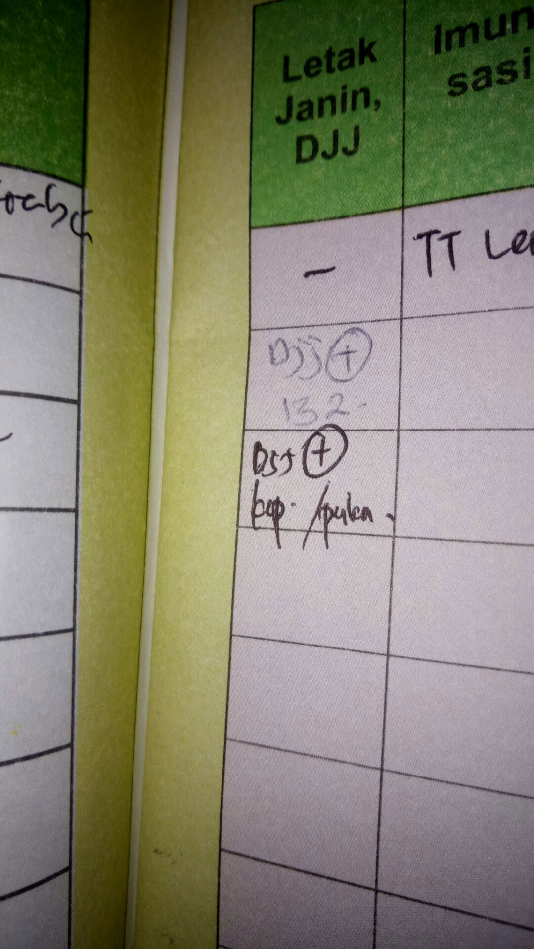 saya hamil sudah 24minggu dan tertulis di buku KEP itu artinya apa