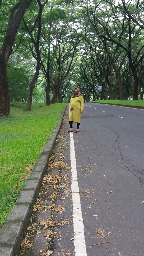 Marissa Syah profile icon