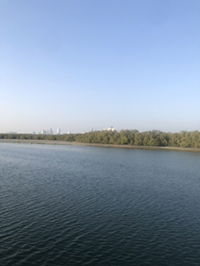 Umm Maryam profile icon