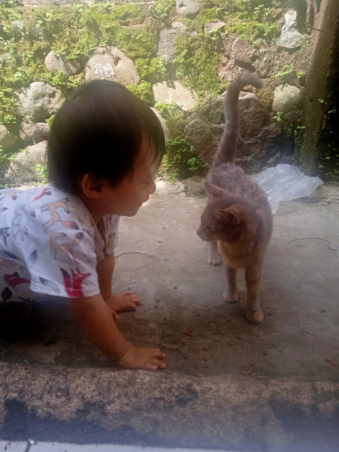 Siti Aminah profile icon