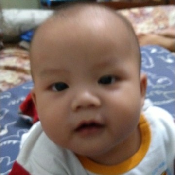 lucu