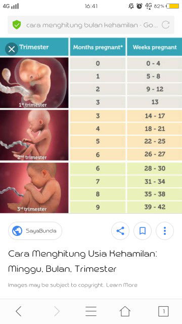 usia kehamilan