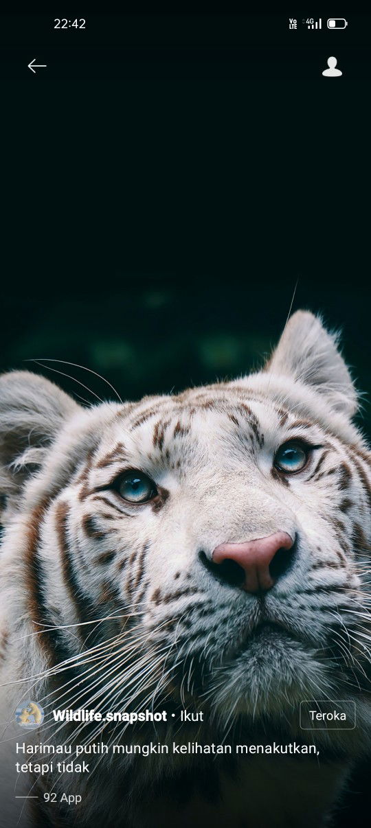 Sani Deli profile icon