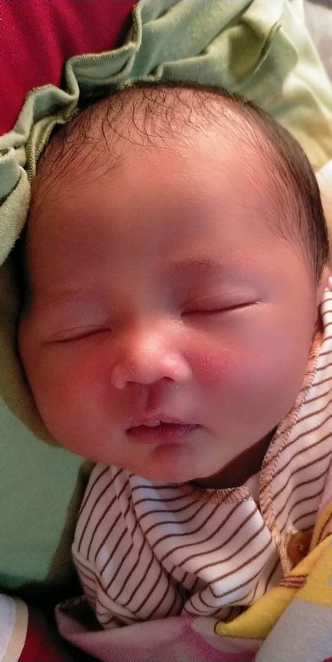 Nenk Momii Nidaan profile icon