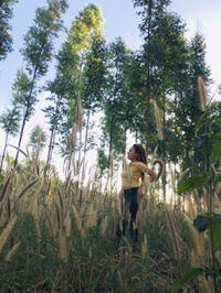 Nongmint Sizemini profile icon