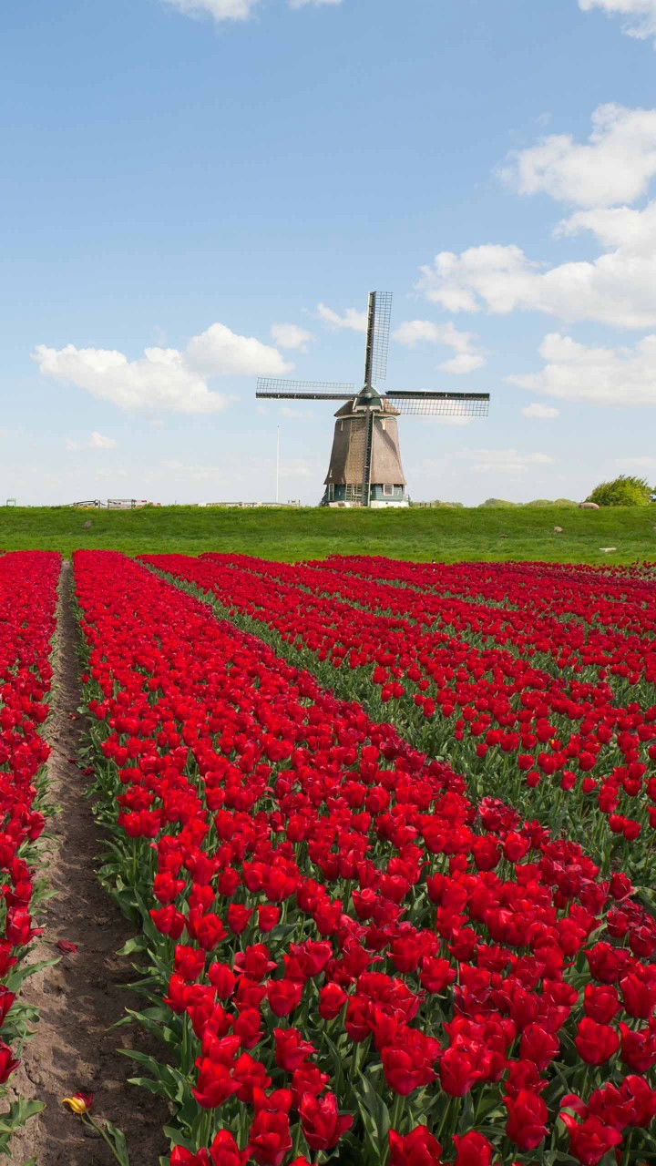 อรทัย จันสอน profile icon