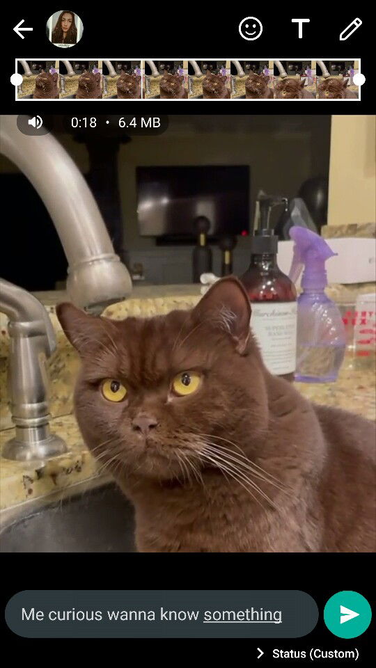 Hardcandy Hardcandy profile icon