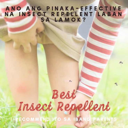 Best insect repellent recommendations