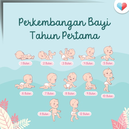 Perkembangan Bayi