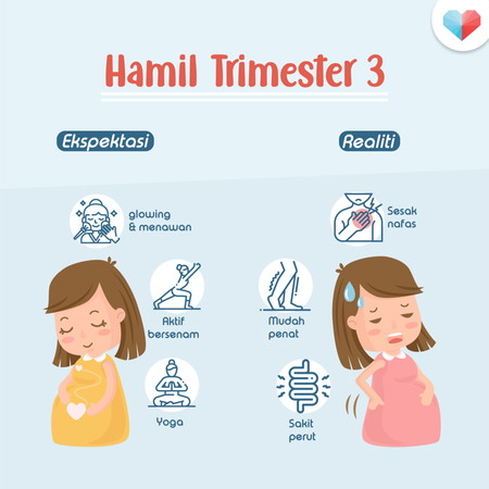 Trimester Ke-3 Ibu Hamil