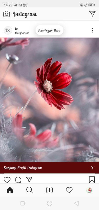 Sri Yefi profile icon