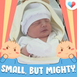 Nasimah M. Abubacar-Moctar profile icon