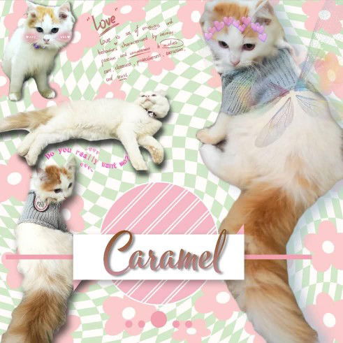 pattrya.n profile icon