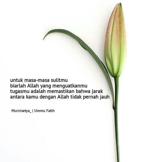 ula roikhatul profile icon