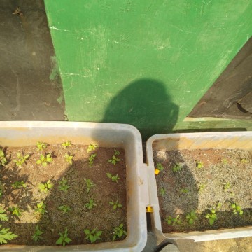 kegiatan bunda ....!!