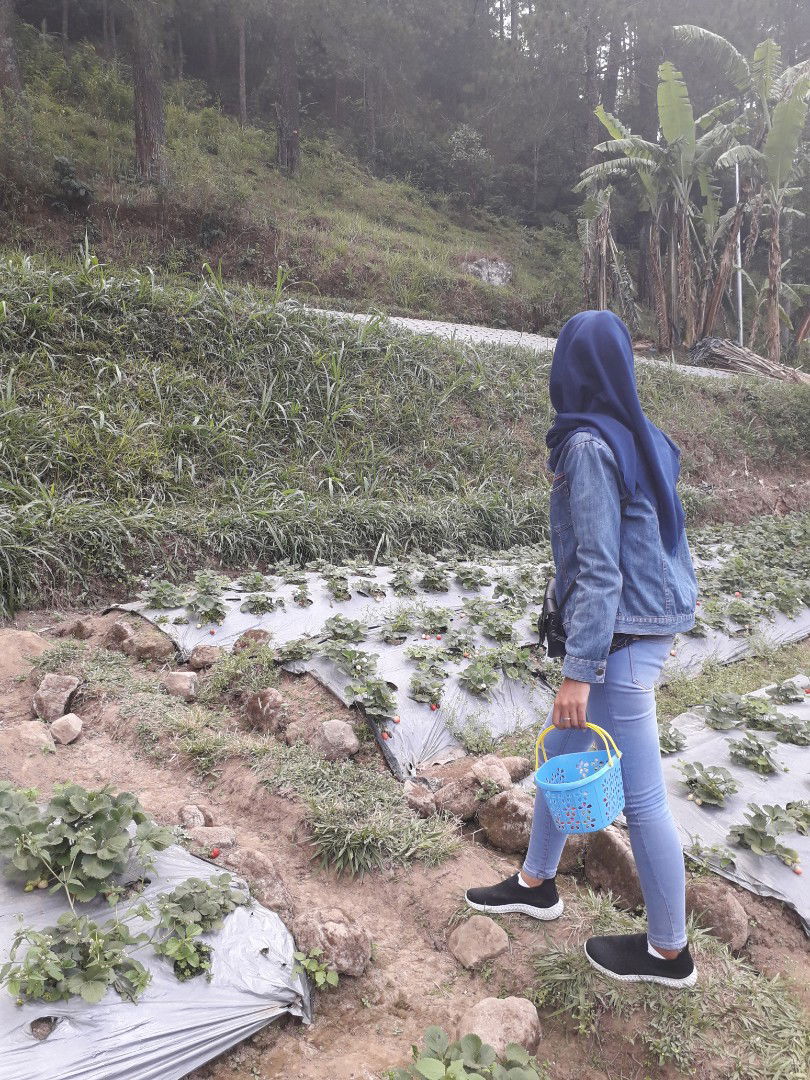 RahmaaNandaa profile icon