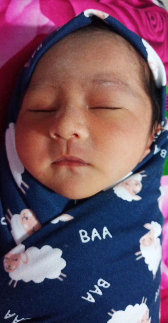 Pinkan Dita Sari profile icon