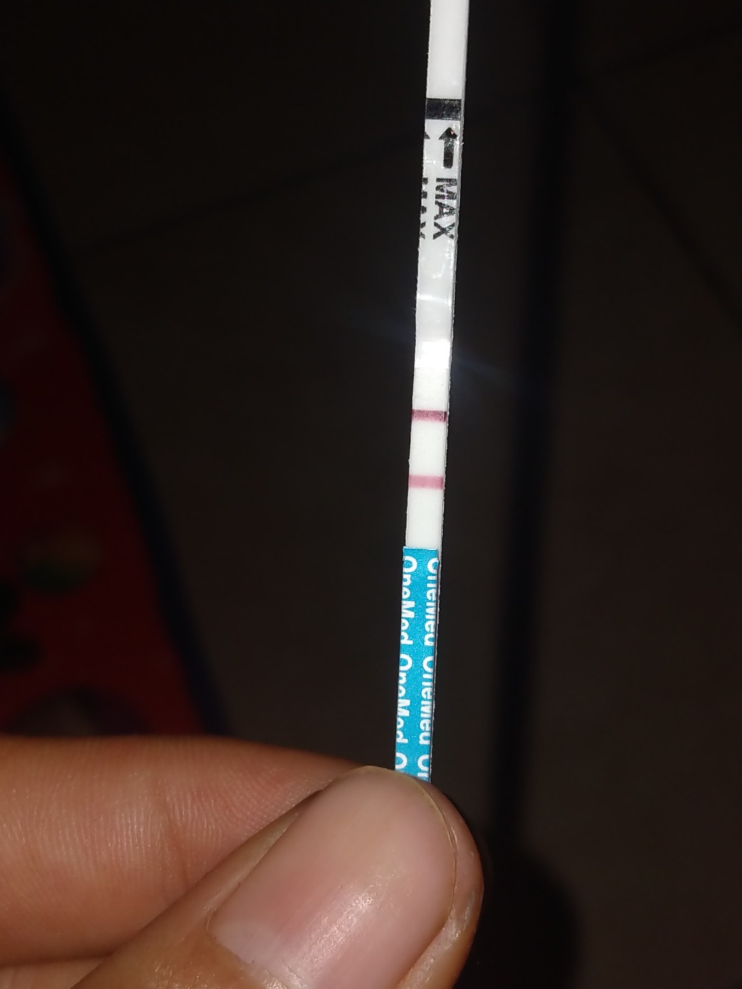Antara mimpi dan bahagia