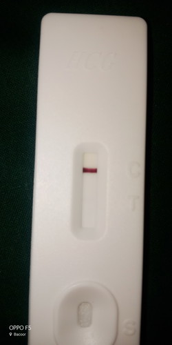 Preganancy Test
