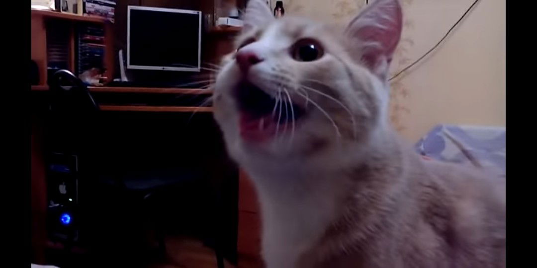 Bunda Emerald profile icon