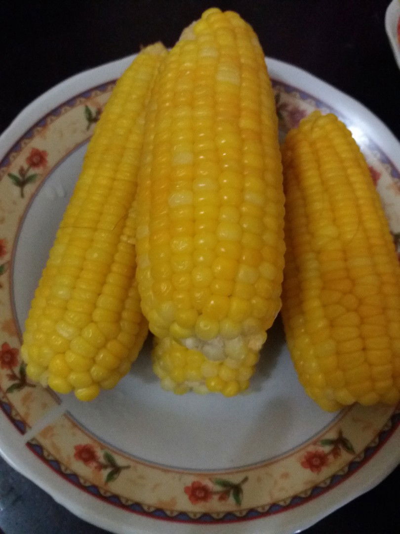 jagung