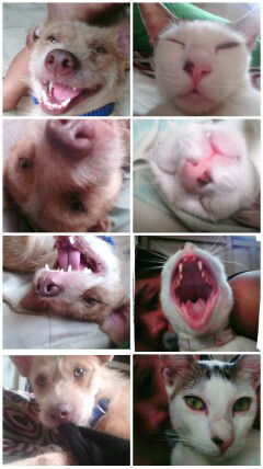 Camille M. profile icon