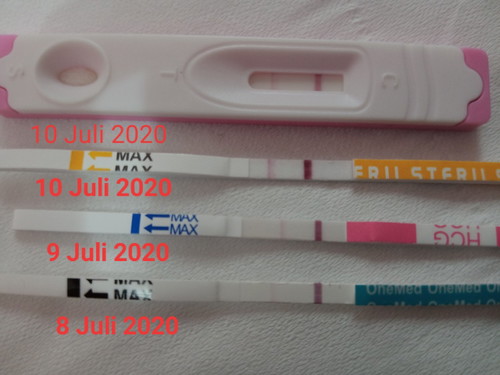 belum telat haid testpack positif