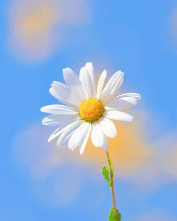 Kwanjit Pakdeelon profile icon