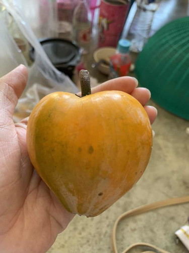 คนท้องกินม่อนไข่ได้ป่าวค่ะ