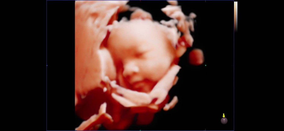 ming ming profile icon