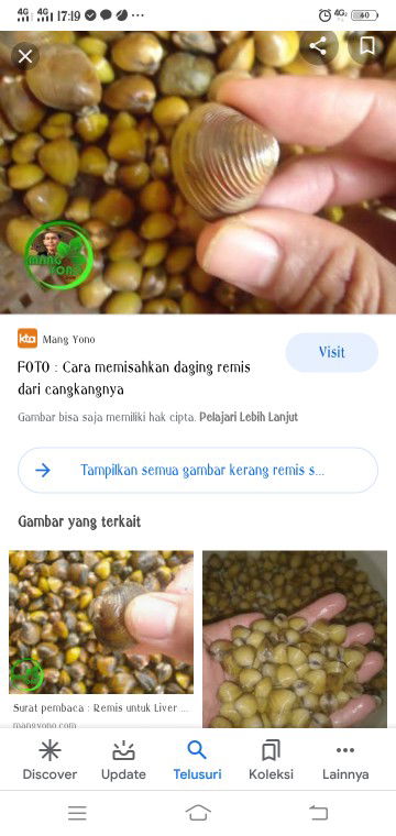 info makanan