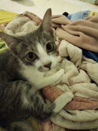 ชุดาภา จันทชาติ profile icon