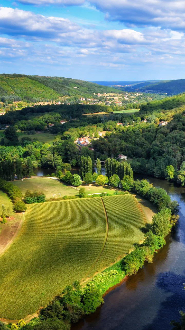 คุณแม่มือใหม่ profile icon