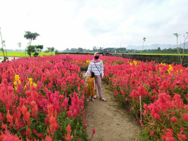 ernakholipah profile icon