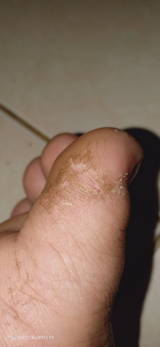 kaki