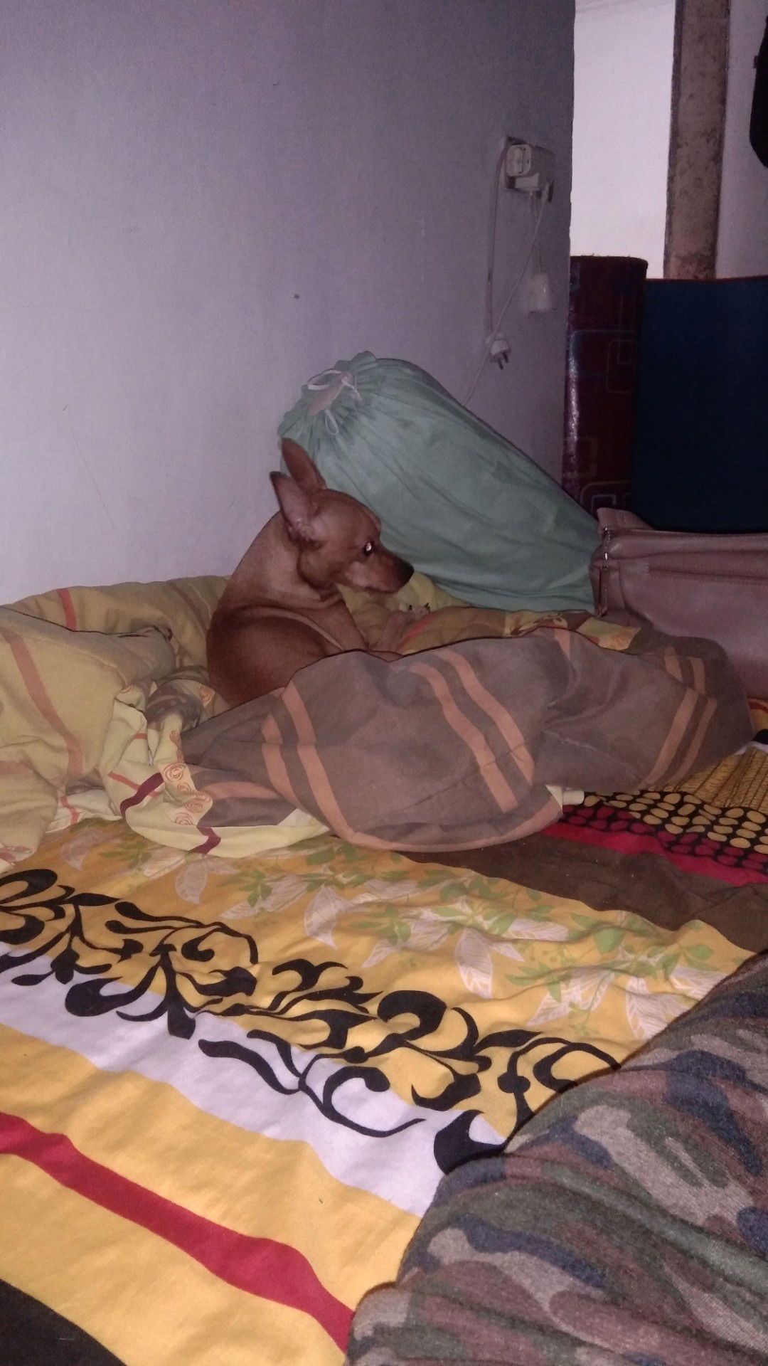 Kim Wijaya profile icon