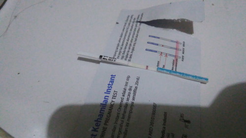 aku telat haid 2 minggu tpi di tesfek udah 2kli masih negatif