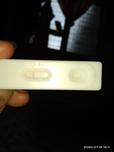 pregnancy