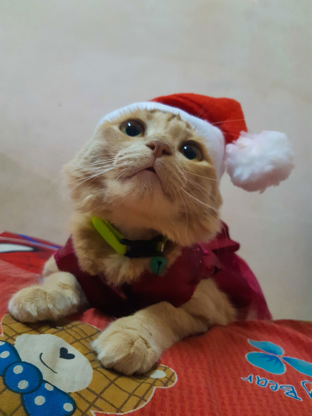 เพชรฐการ ทองระย้า profile icon