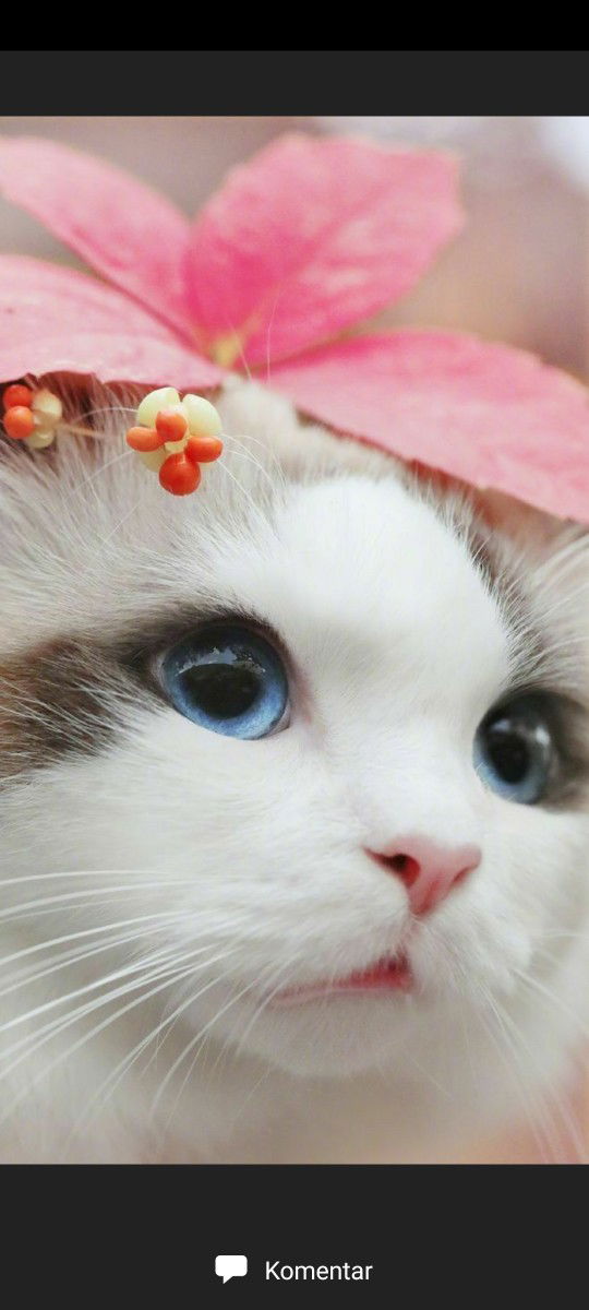 Matahari ? profile icon