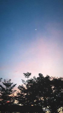 Venitha Dwi Hertanti profile icon