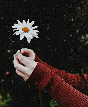 liviany iffy profile icon