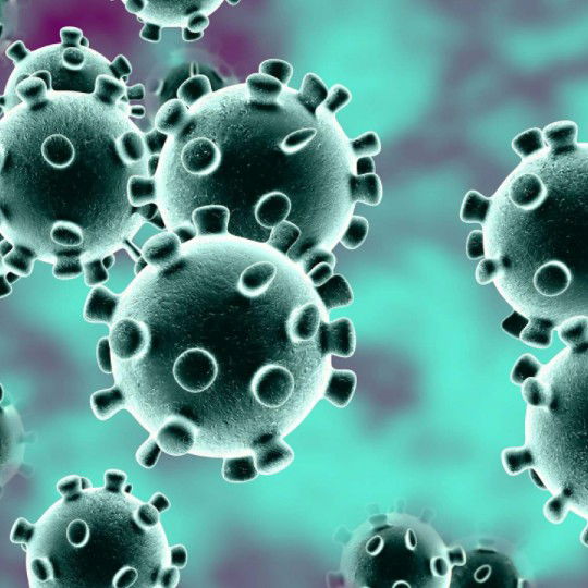 Anwesh Singh profile icon