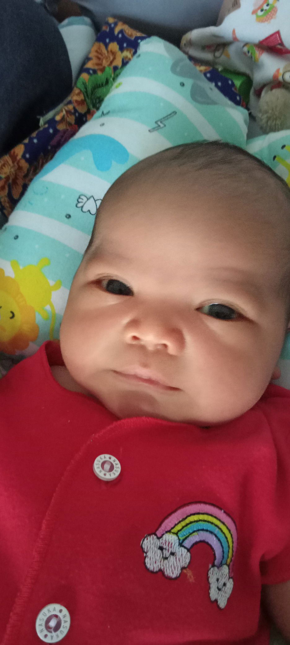 Sri Qomariyah Ulfa profile icon