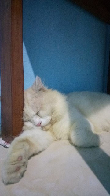 Kurnia Izma profile icon