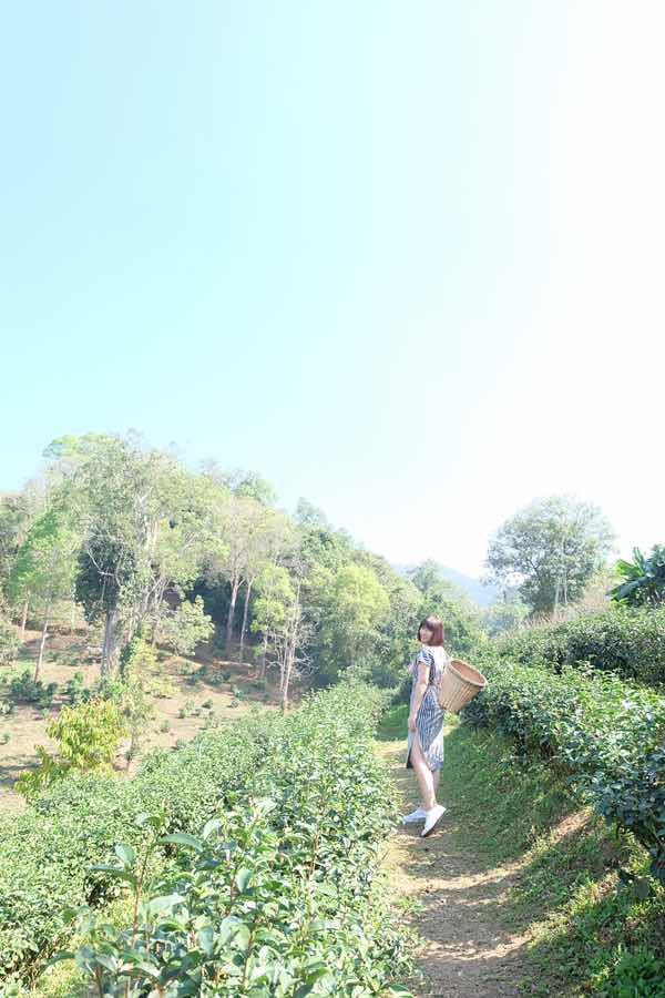 t.naree profile icon