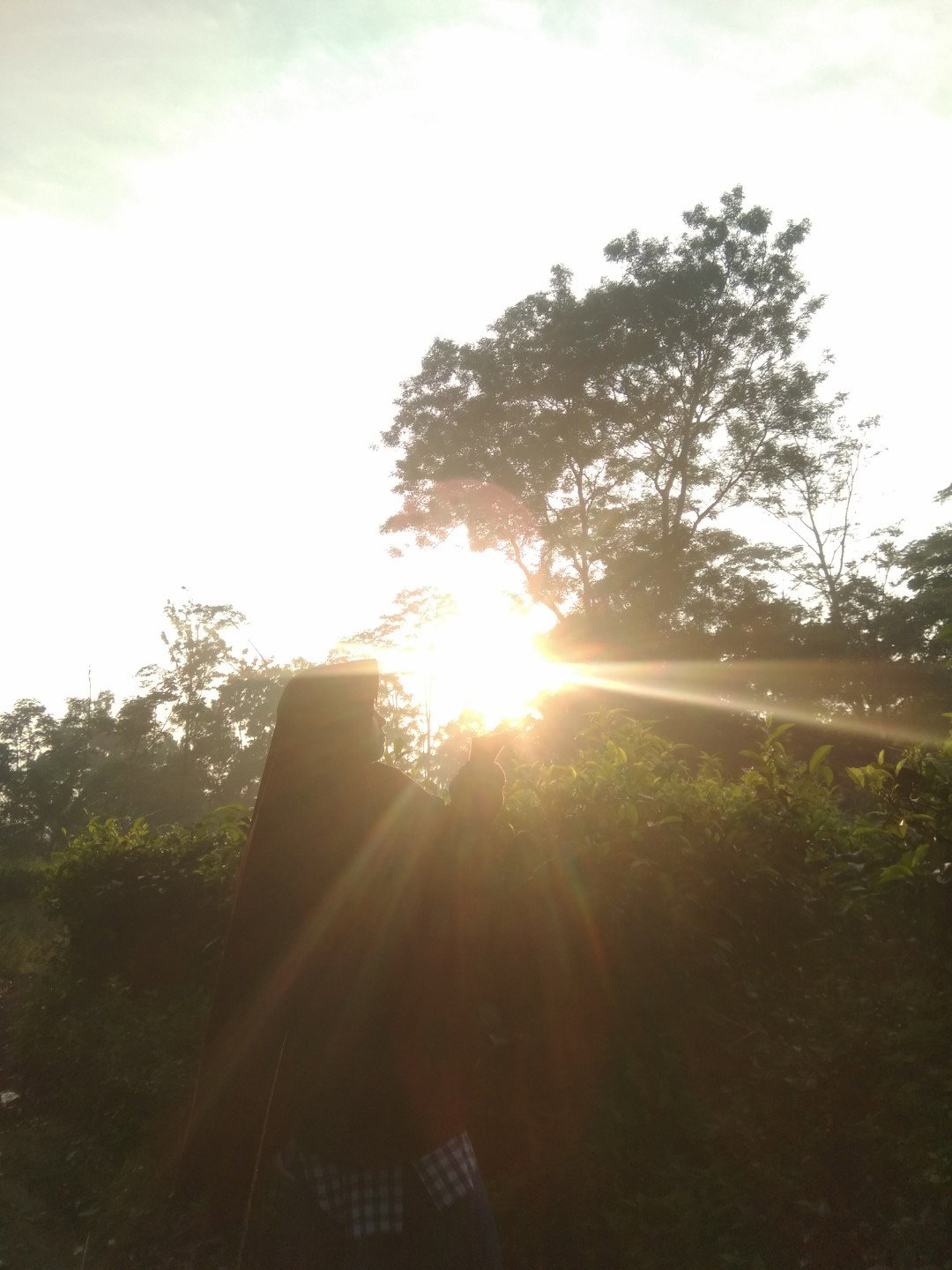 Alfaeni Mujahidah profile icon