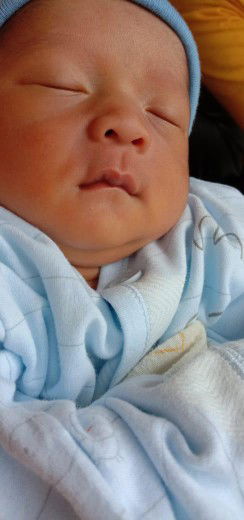 Diana Hyuga Yamanaka profile icon