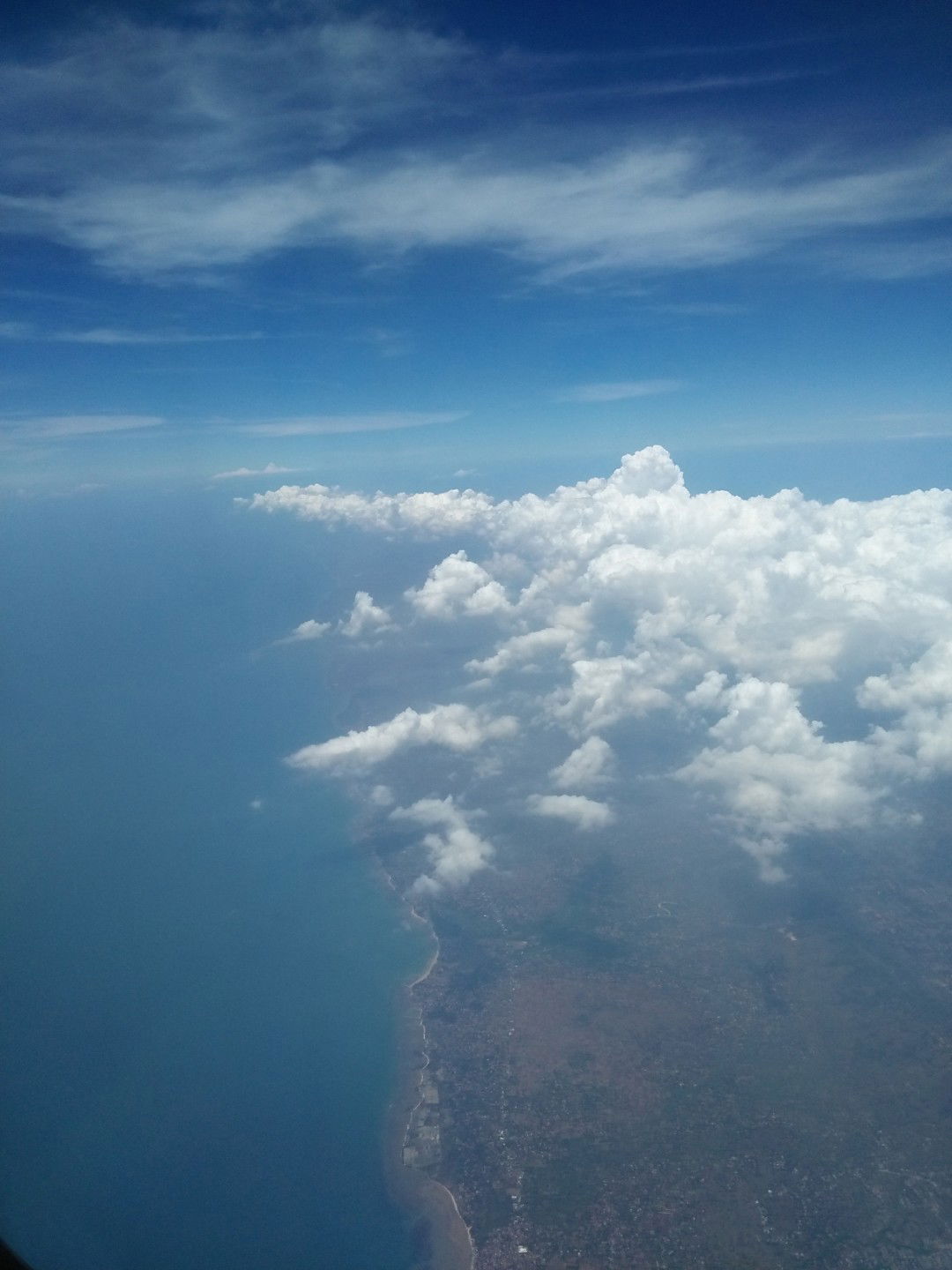 aalvi ID profile icon