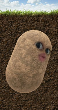 SaarahAyu profile icon